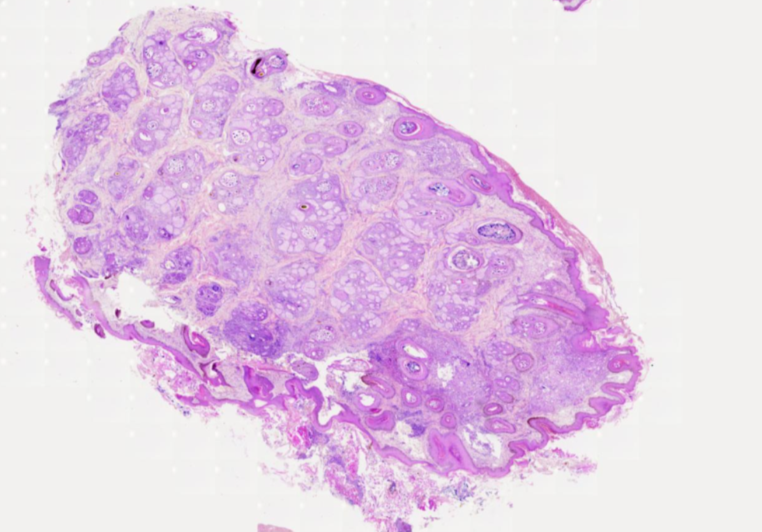 card-specialties-image