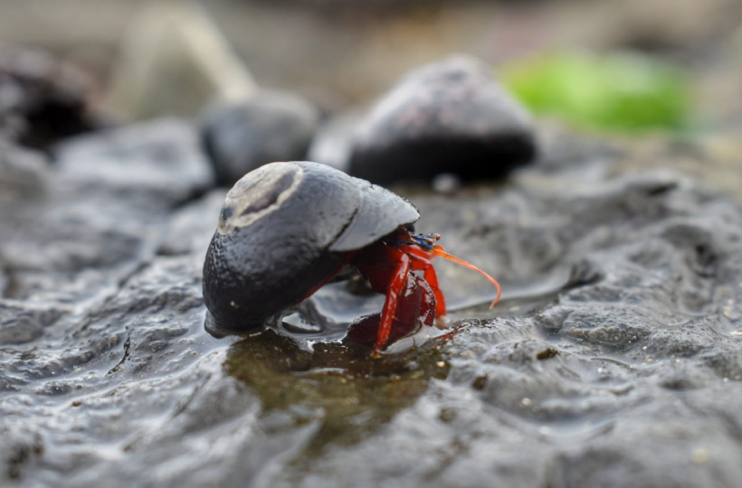 slider-img