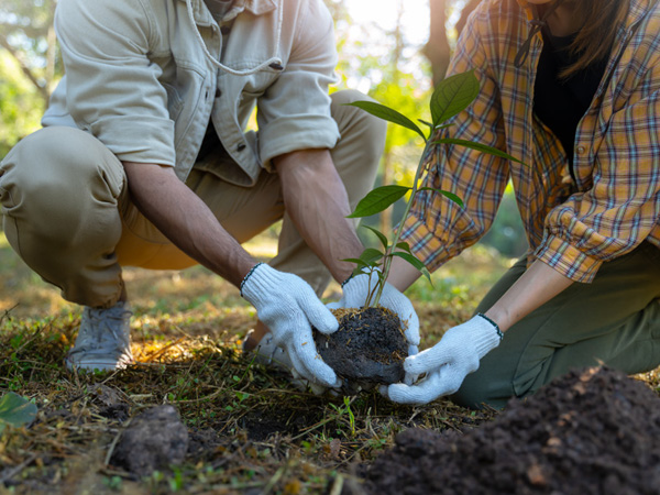 card-specialties-image